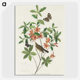 2-13_John-James-Audubon_picture-crop