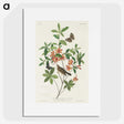 2-13_John-James-Audubon_picture