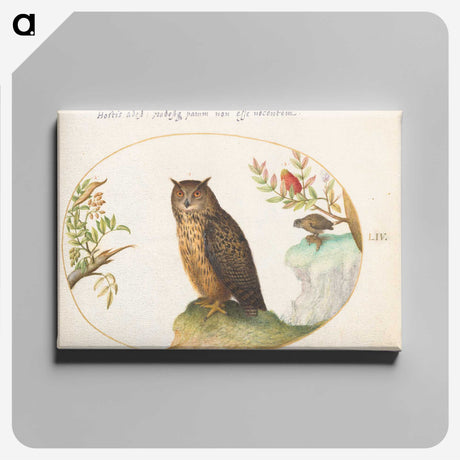 2-13_Joris-Hoefnagel_canvas
