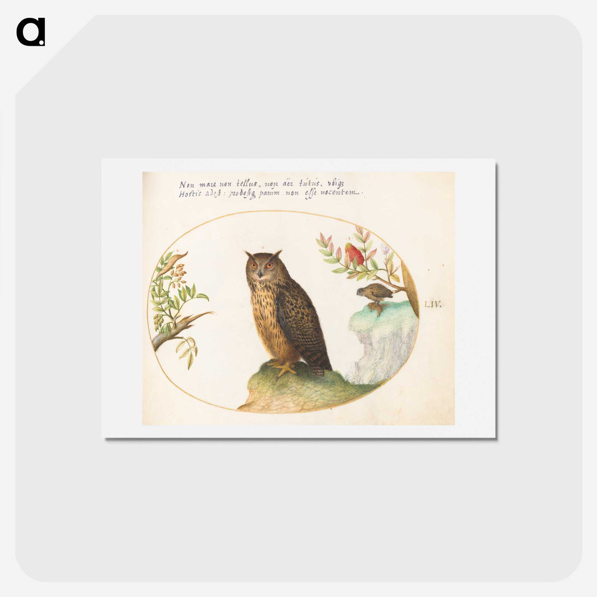 2-13_Joris-Hoefnagel_hagaki