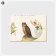 2-13_Joris-Hoefnagel_postcard