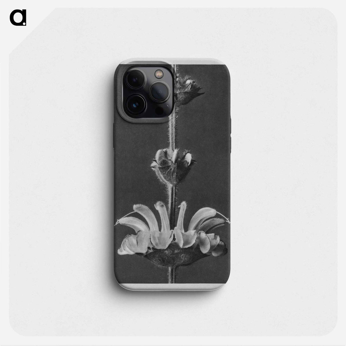 Salvia argentea - Karl Blossfeldt Phone Case.