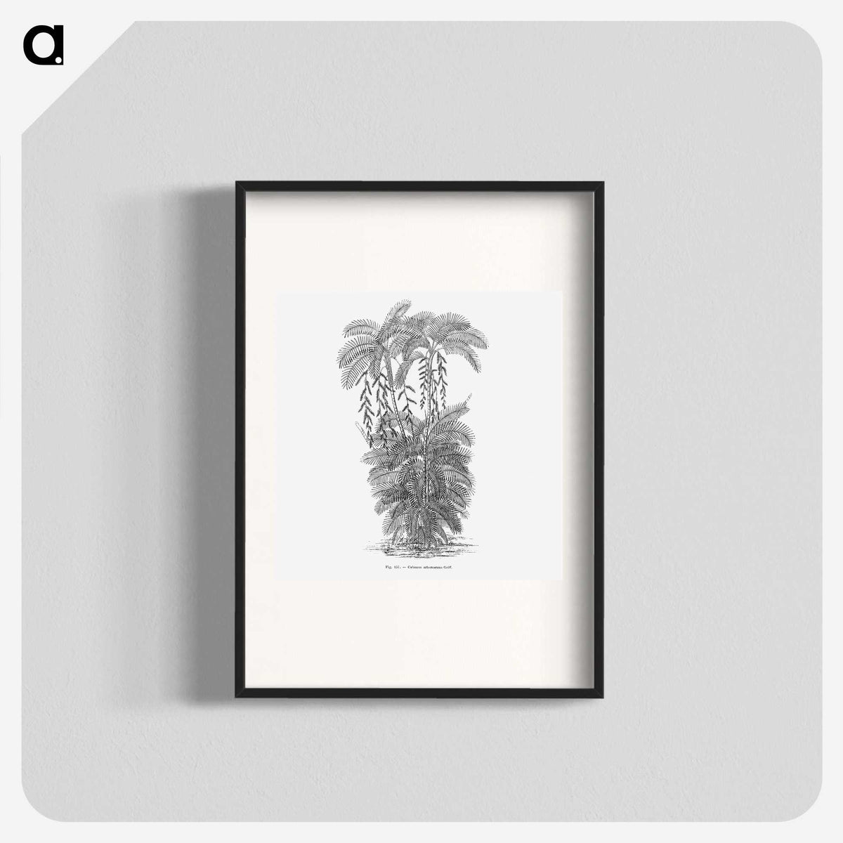 2-13_Les-Palmiers-Histoire-Iconographique_blk