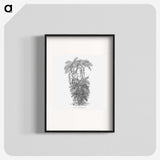 2-13_Les-Palmiers-Histoire-Iconographique_blk