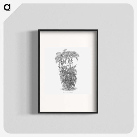 2-13_Les-Palmiers-Histoire-Iconographique_blk