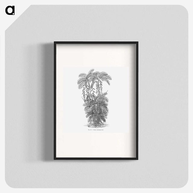 2-13_Les-Palmiers-Histoire-Iconographique_blk