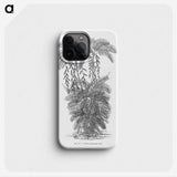 2-13_Les-Palmiers-Histoire-Iconographique_phone