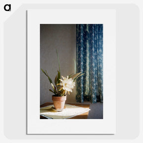 2-13_Leslie-Adkin_picture