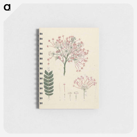 アートメモ帳-Gummy Albizia Tree
 - ルイージ バルガーニ Memo.