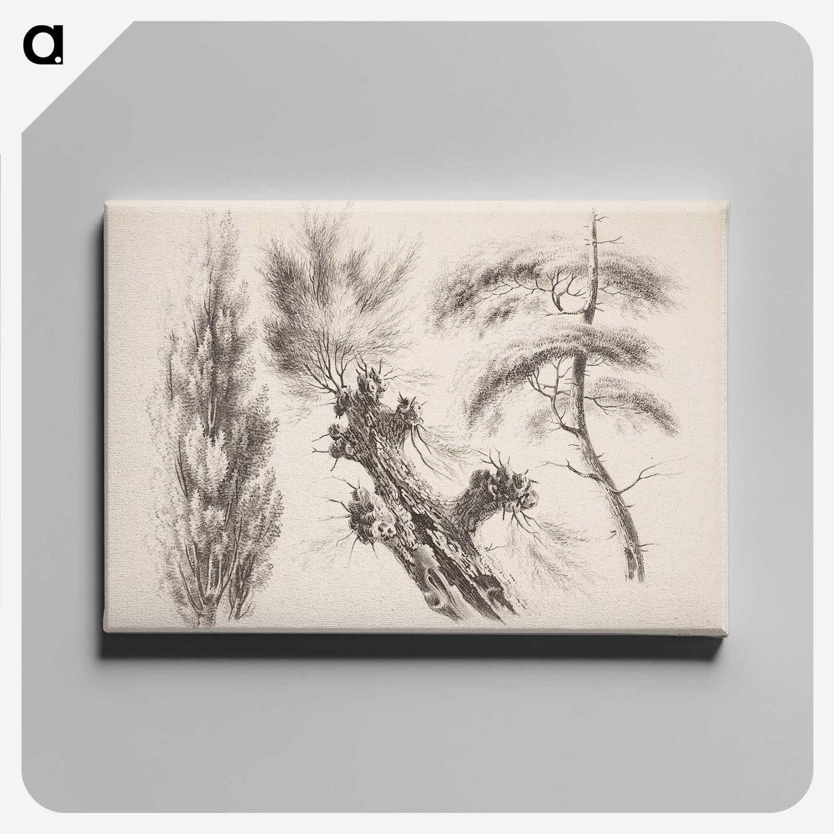 2-13_Magnus-von-Wright_canvas