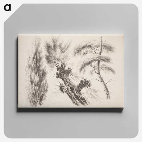 2-13_Magnus-von-Wright_canvas