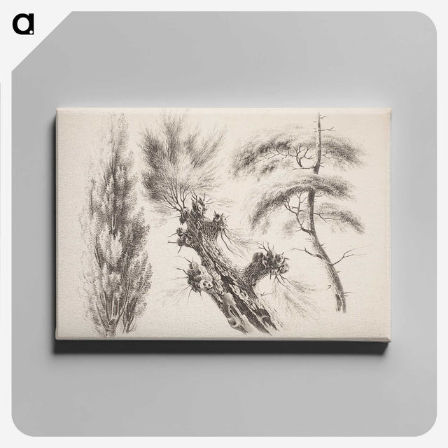 2-13_Magnus-von-Wright_canvas