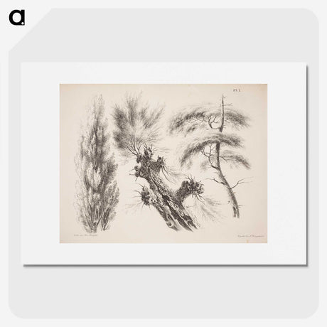 2-13_Magnus-von-Wright_picture