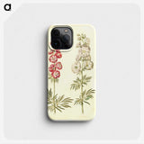 2-13_Maria-Sibylla-Merian_phone
