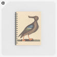 2-13_Mark-Catesby_memo