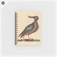 アートメモ帳-Blue Winged Shoveler
 - マーク ケイツビー Memo.