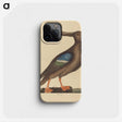 2-13_Mark-Catesby_phone