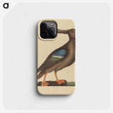 2-13_Mark-Catesby_phone