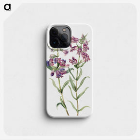 2-13_Mary-Vaux-Walcott_phone