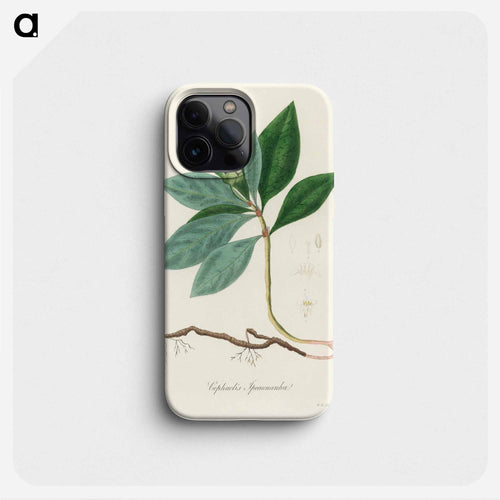 Cephaelis lpecacuanha Illustration
 - 薬用植物学 Phone Case.