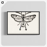 2-13_Moths-and-Butterflies-of-the-United-States_blk-crop