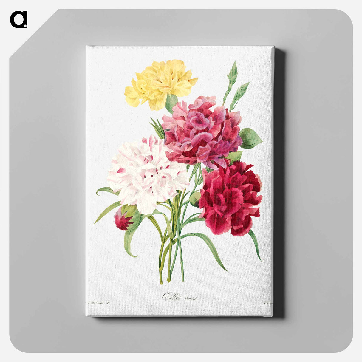 アートパネル-Carnation - ピエール ジョゼフ ルドゥーテ Canvas.