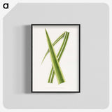 2-13_Plants-with-Colored-Foliage_blk-crop