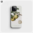 2-13_Pomona-Italiana_phone