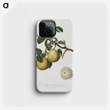2-13_Pomona-Italiana_phone