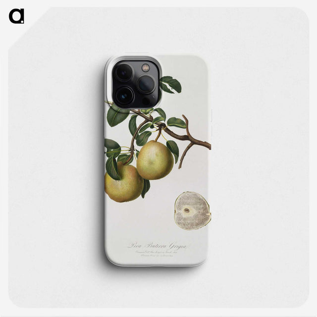 2-13_Pomona-Italiana_phone
