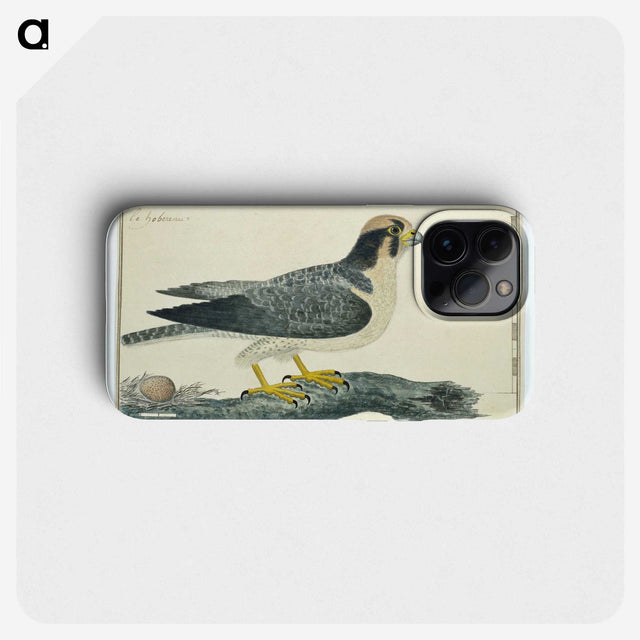 2-13_Robert-Jacob-Gordon_phone