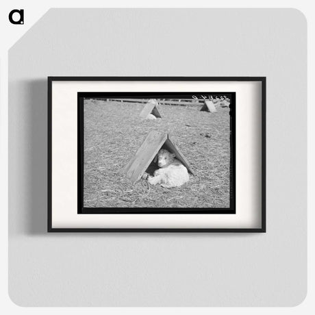 2-13_Russell-Lee_blk