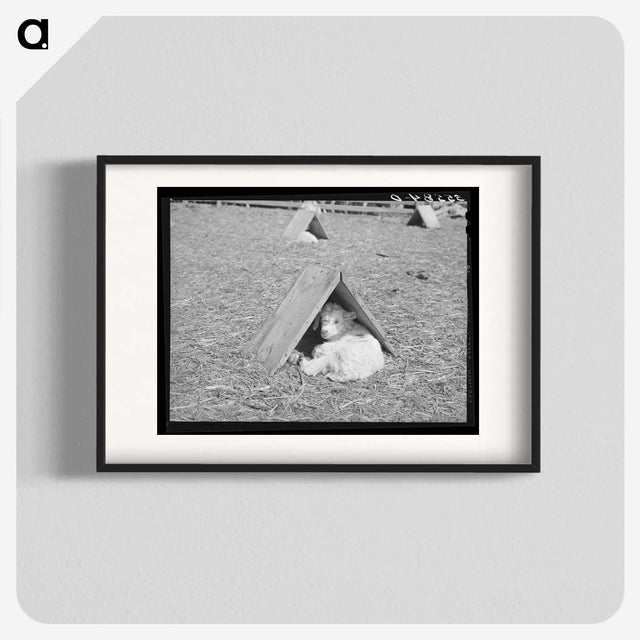 2-13_Russell-Lee_blk