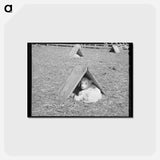アートポストカード-Tethered Shelter
 - ラッセル リー Postcard.