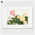 2-13_Seiyo-Soka-Zufu_picture