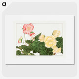2-13_Seiyo-Soka-Zufu_picture