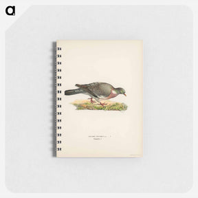 アートメモ帳-Common Wood Pigeon
 - スヴェンスカ フォグラル Memo.