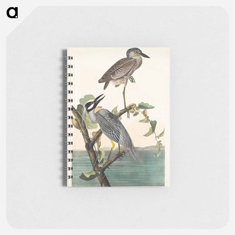 アートメモ帳-Yellow-Crowned Heron from Birds of America
 - アメリカの鳥たち Memo.