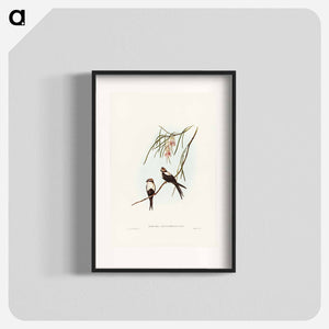 オーストラリア