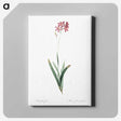 2-13_The-Lilies_canvas