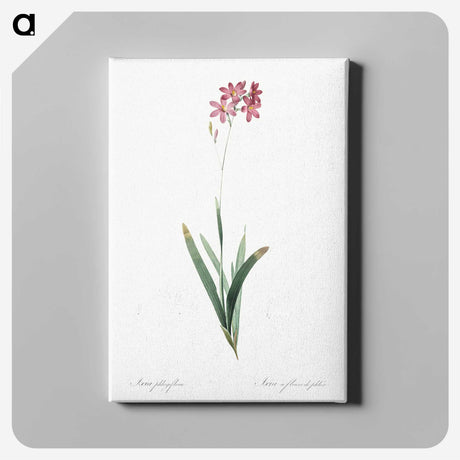 2-13_The-Lilies_canvas