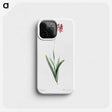 2-13_The-Lilies_phone