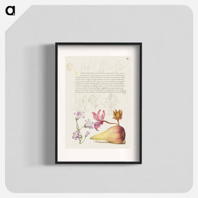 アートポスター-Rampion, Dittany, and Pear from Mira Calligraphiae Monumenta
 - 書道のお手本 Poster.