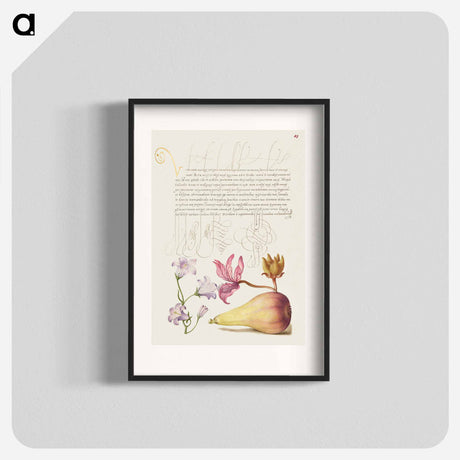 アートポスター-Rampion, Dittany, and Pear from Mira Calligraphiae Monumenta
 - 書道のお手本 Poster.