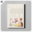 アートパネル-Rampion, Dittany, and Pear from Mira Calligraphiae Monumenta
 - 書道のお手本 Canvas.