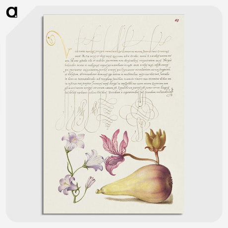 2-13_The-Model-Book-of-Calligraphy_picture-crop