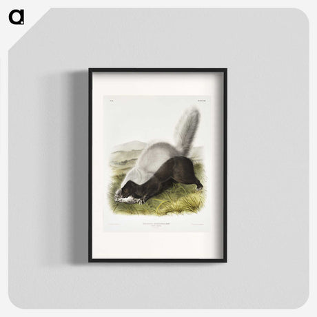 2-13_The-Viviparous-Quadrupeds_blk