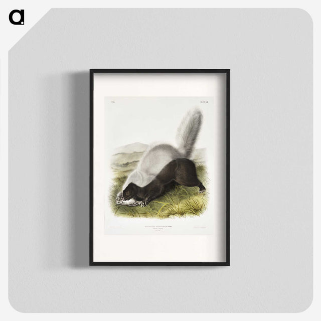 2-13_The-Viviparous-Quadrupeds_blk