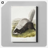 2-13_The-Viviparous-Quadrupeds_canvas