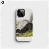 2-13_The-Viviparous-Quadrupeds_phone